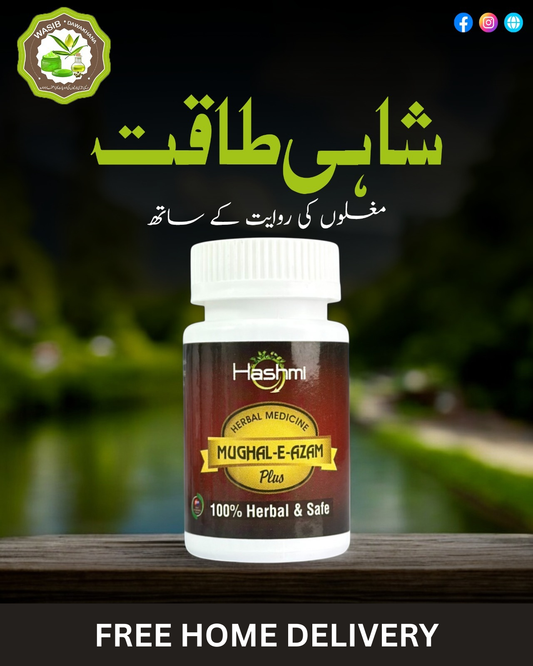 Mughal e Azam Capsule